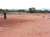 Christine Mischker - spotting a jackal on safari